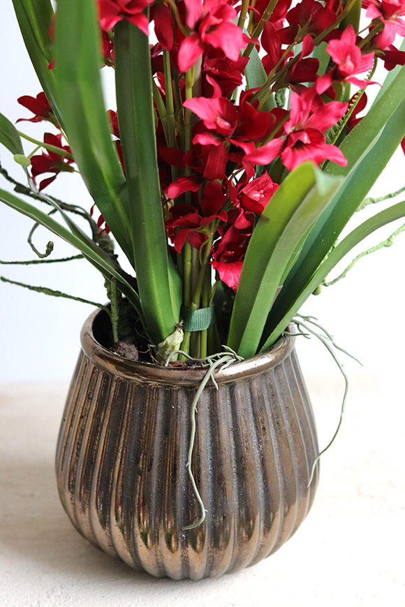 Red Thai, sztuczny storczyk w donicy