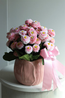 Stokrotki Pink, wiosenna kompozycja kwiatowa w doniczce