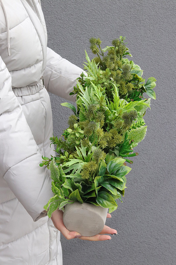 Hektor Modenato 2, kompozycja sukulenty w długiej donicy