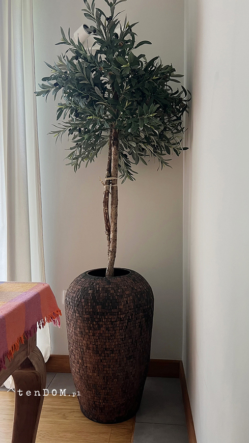 Oliwka Sirocco, sztuczne drzewko w osłonce