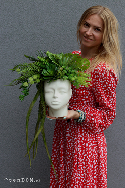 Green Head, efektowna kompozycja sukulenty w głowie, wys.34cm 