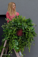 Zielonka, duży sufitowy wianek