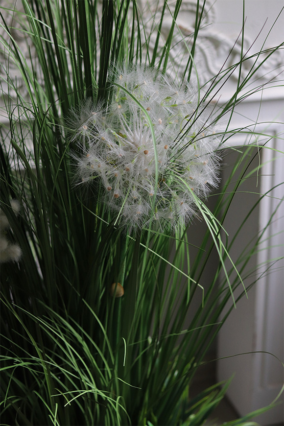 Delano Fiberglass White, kompozycja traw z dmuchawcami