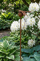 Rust Garden, metalowa dekoracja ogrodowa, ważka