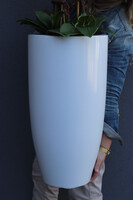 White Fiberglass Grande, duży storczyk w białej donicy