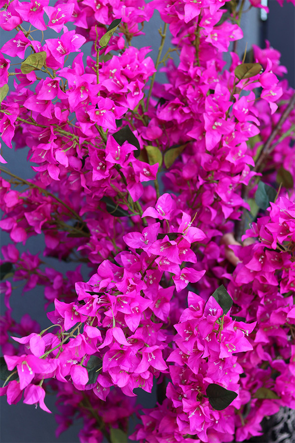 Bugenwilla Concrete, sztuczne drzewko w betonowej donicy