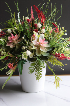 Albertina Design Greia, kompozycja z sukulentami, wym.36x38cm