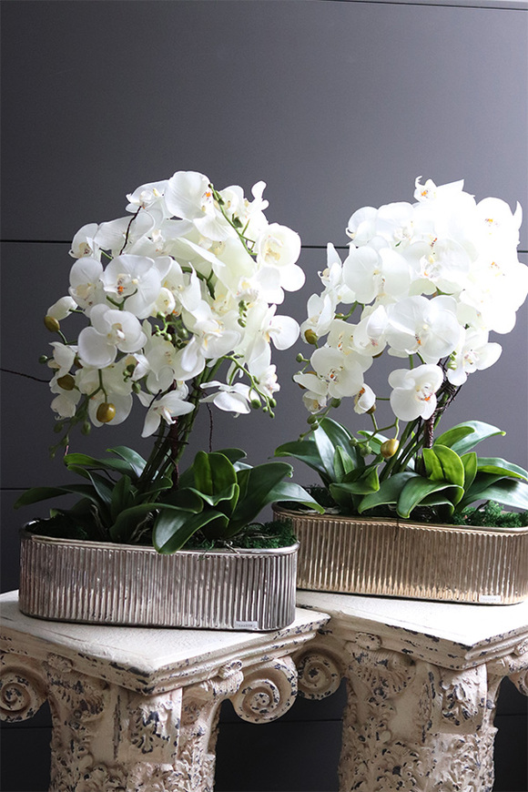 Hilton Gold Long, wysokiej jakości sztuczny storczyk