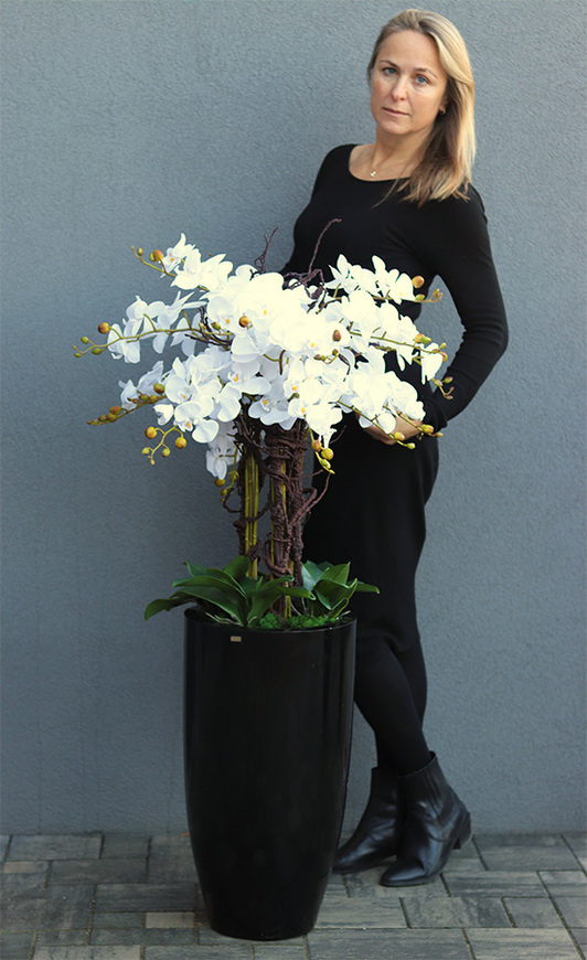 duży storczyk Black Fiberglass Grande 2 w czarnej donicy