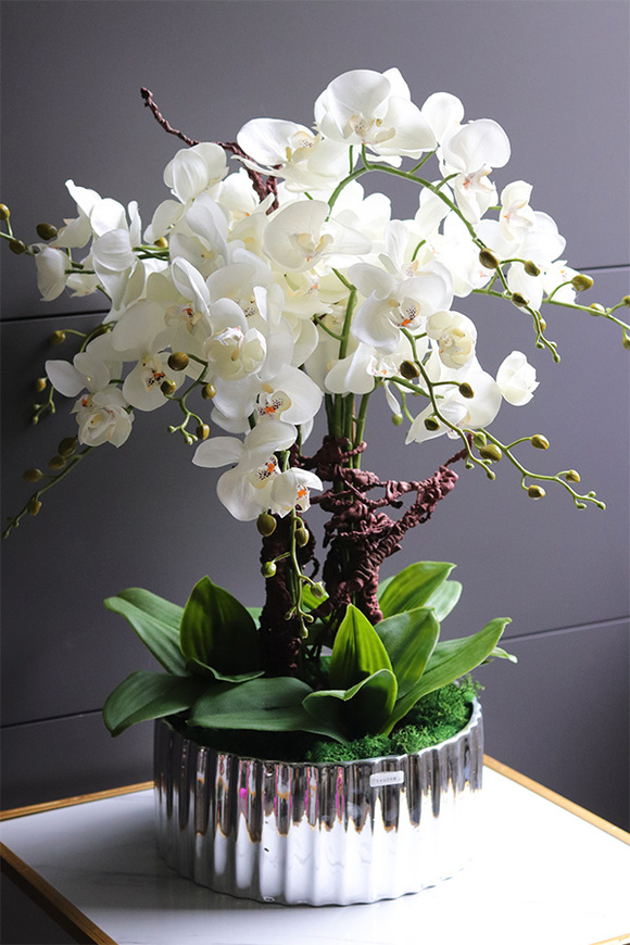 Nullina Silver Tresta, sztuczny storczyk w lustrzanej misie