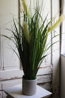 Jedylia Casa Creme, trawa z klosami w donicy od Belldeco, wys.93cm