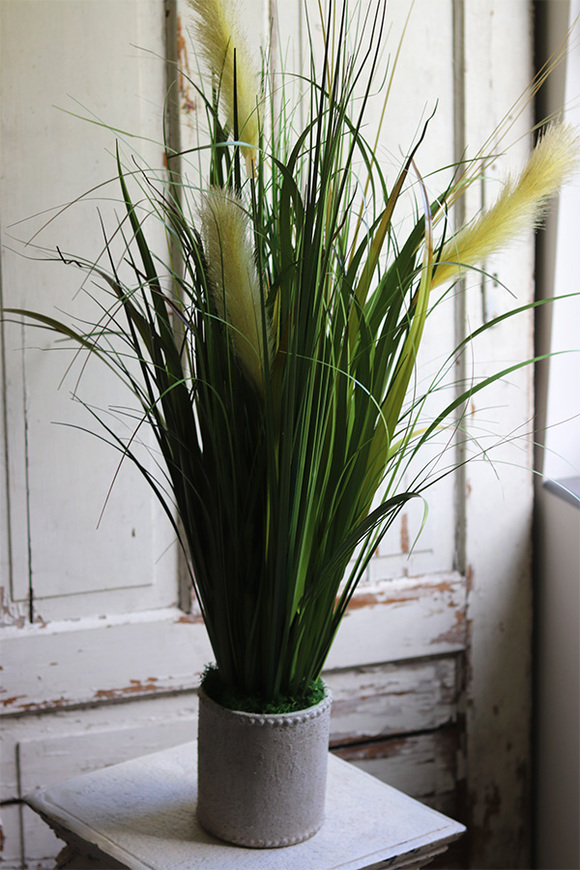 Jedylia Casa Creme, trawa z klosami w donicy od Belldeco, wys.93cm