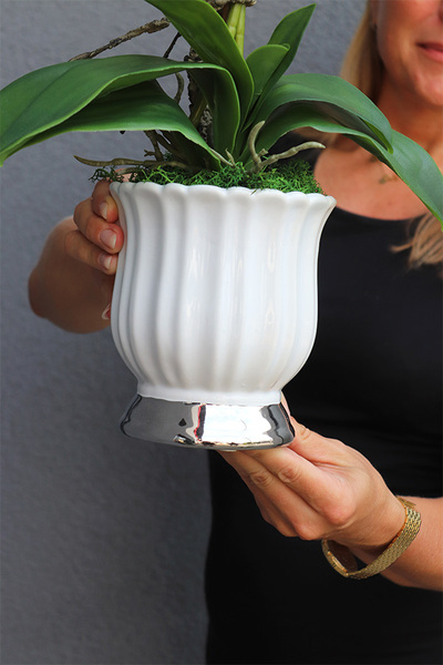 Meleusa Small, sztuczny storczyk w białej donicy, wym.60cm