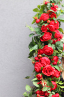 Różana Aleja, czerwona girlanda kwiatowa