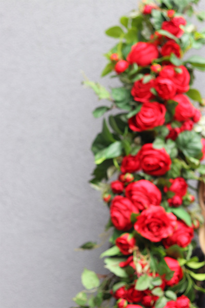 Różana Aleja, czerwona girlanda kwiatowa