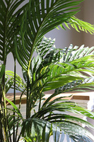 Areca Saute Pacyfik, palma sztuczna w gąbce do twojej donicy, wys.135cm