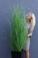 Black Hampton Fiberglass, trawa w czarnej donicy