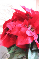 Gwiazda Betlejemska Reddis 2, wysokiej jakości sztuczna roślina