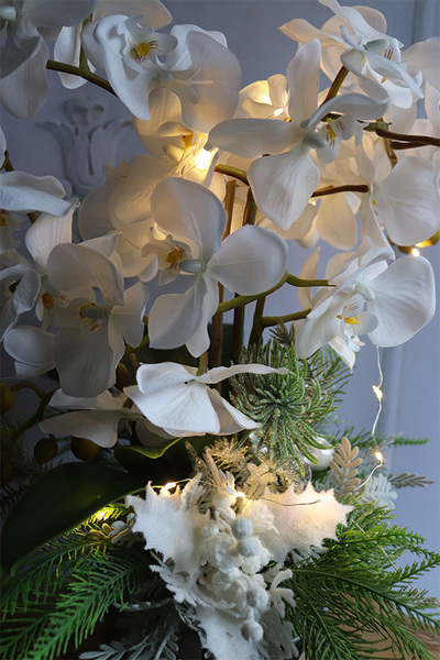 Biała Zima, elegancki storczyk zimowy LED