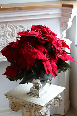 Gwiazda Betlejemska Silver Lux, sztuczna roślina w donicy, wys.53cm