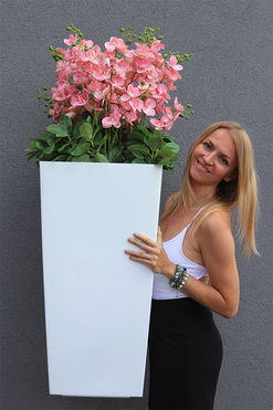 OD RĘKI Pinke Mediolan, gumowy storczyk podłogowy w donicy, wys.122cm