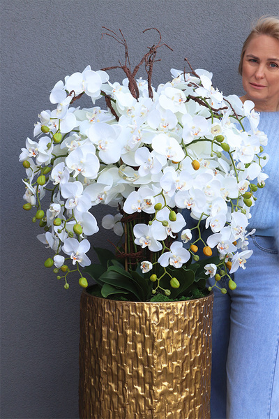 Golden Palace, wysoki storczyk podłogowy