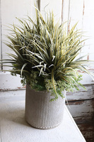 Bedrita Boho, kompozycja z traw w ozdobnej donicy, wys.50cm