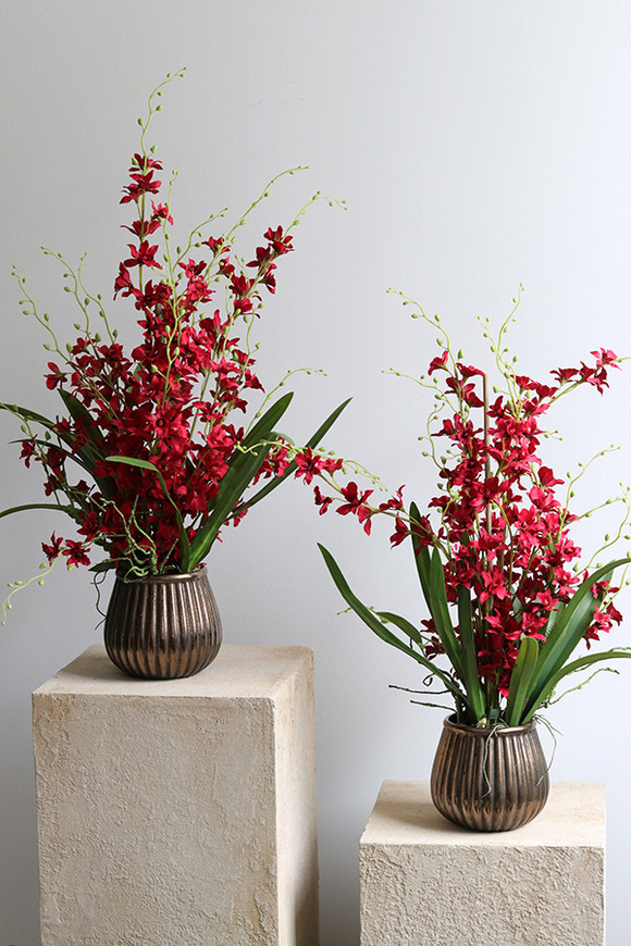 Red Thai, sztuczny storczyk w donicy