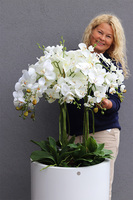 Fiberglass Grande White, storczyk XXL w białej donicy