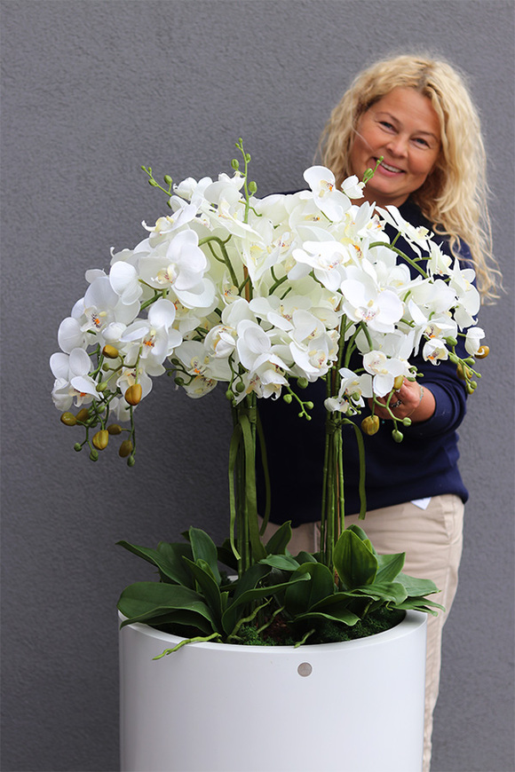 Fiberglass Grande White, storczyk XXL w białej donicy