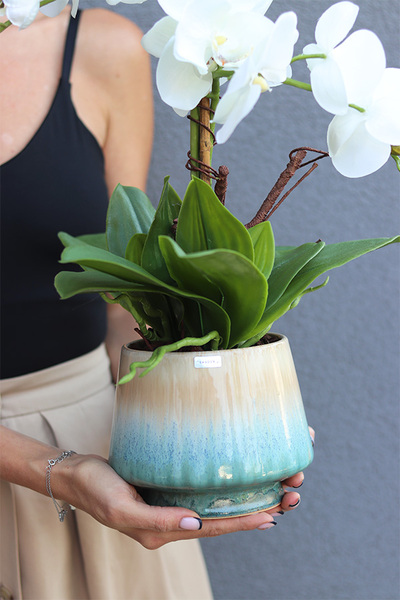 Gretiena, sztuczny storczyk w doniczce ombre	