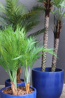 Ares Blue, sztuczne palmy w ceramicznej donicy