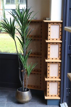 Dracena Simple Gold, sztuczna roślina w doniczce, wys.137cm