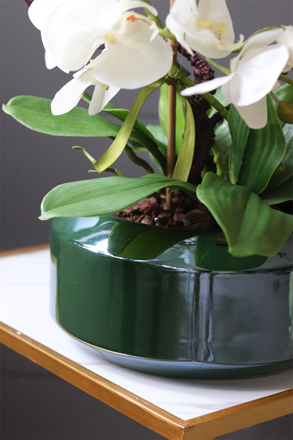 Green Land Gaina, wysokiej jakości sztuczny storczyk