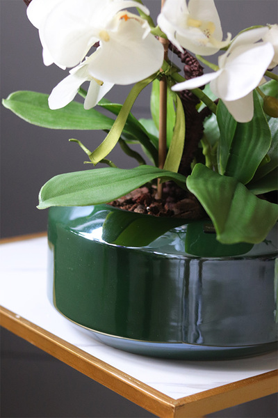 Green Land Gaina, wysokiej jakości sztuczny storczyk