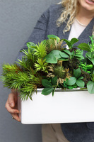 Anya Decory Sukulenty, zielona kompozycja w donicy