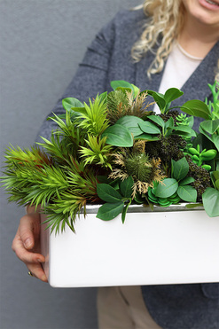 Anya Decory Sukulenty, zielona kompozycja w donicy, wym.30x50cm