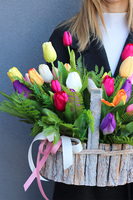 Tulipany Kolorowe, komplet dekoracji nagrobnych