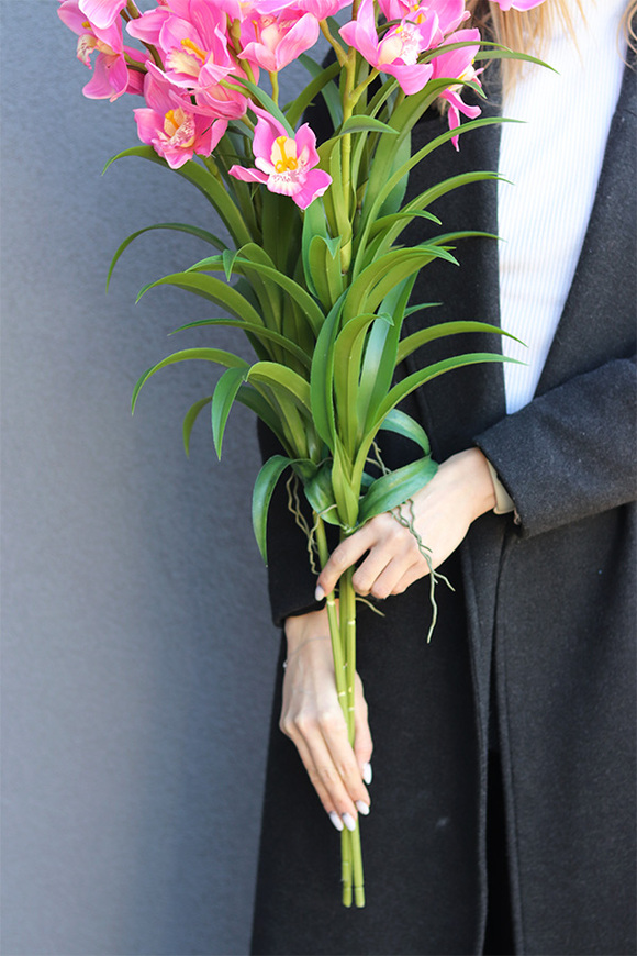 Cymbydium Róż, gałązka kwiatowa storczyk orchidea