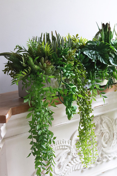 Longia Green Steel, sukulenty w stalowej donicy