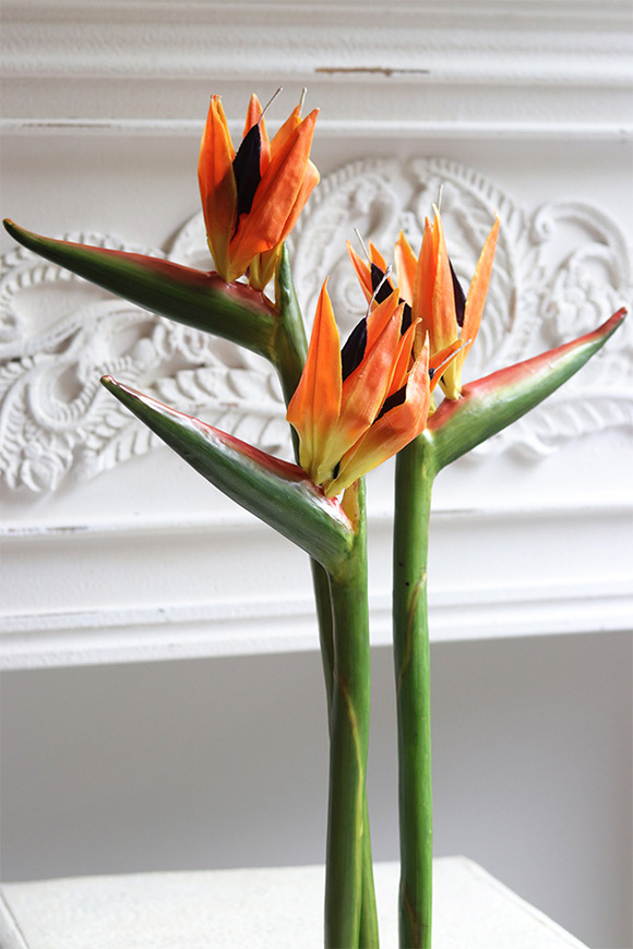 Strelicja Pomarańczowa, bukiet kwiatów do wazonu