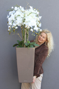 Cubico Mediolan, storczyk podłogowy w donicy, wys.127cm