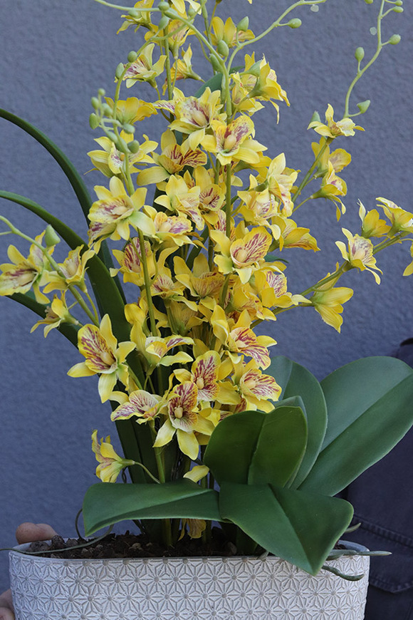 Tajskie Słońce, sztuczny storczyk w słonecznym kolorze