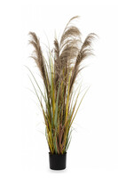  Divali B, sztuczna trawa z kłosami, wys.152cm