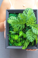 Sukulenty Black Frame, czarna jednostronna rama