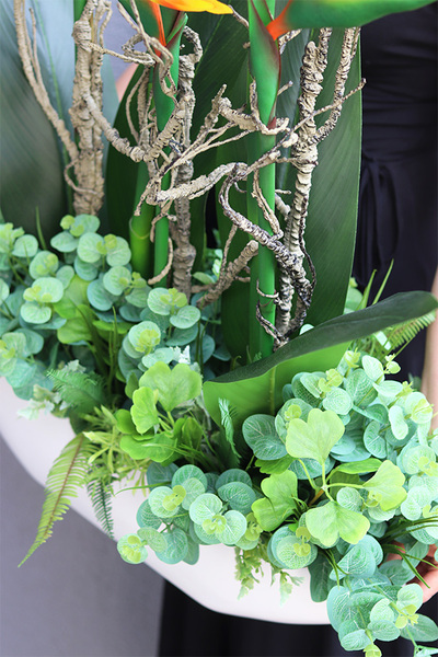 Big Laos Sukulenty & Strelicja 2, egzotyczna kompozycja w białej donicy, wys.93cm 