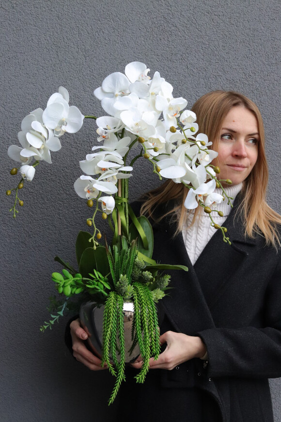 Chmielli Silver, storczyk i sukulenty w lustrzanej osłonce