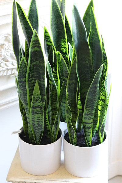 Sansewieria Simple, roślina sztuczna w donicy