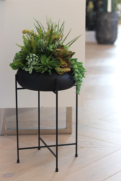 Aldara, kompozycja z sukulentami w donicy na stojaku, wys.64cm 