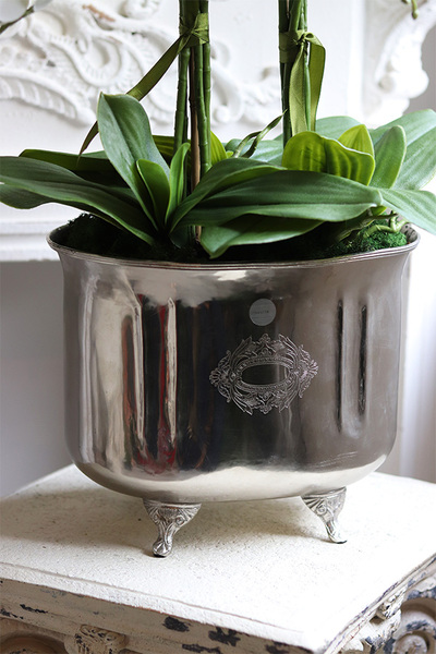 Derino Redi, sztuczny storczyk w coolerze